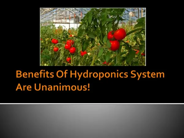 Benefits Of Hydroponics System Are Unanimous!
