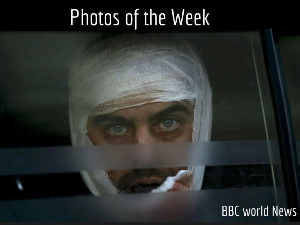 photos of the week