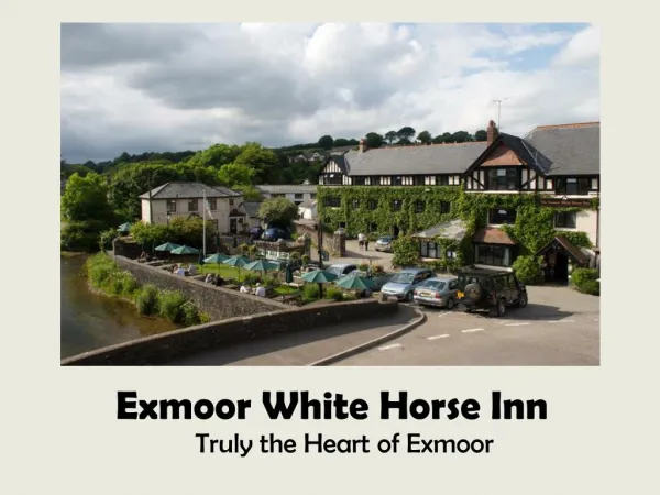 Exmoor Whitehorse Features
