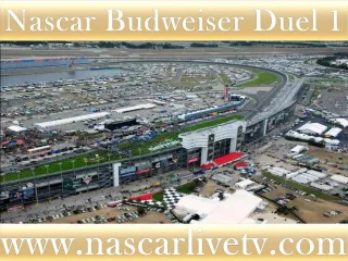 See Nascar Daytona 500 racers online - slide 1