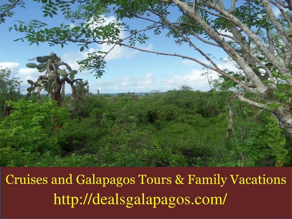 cruises and galapagos tours family vacations