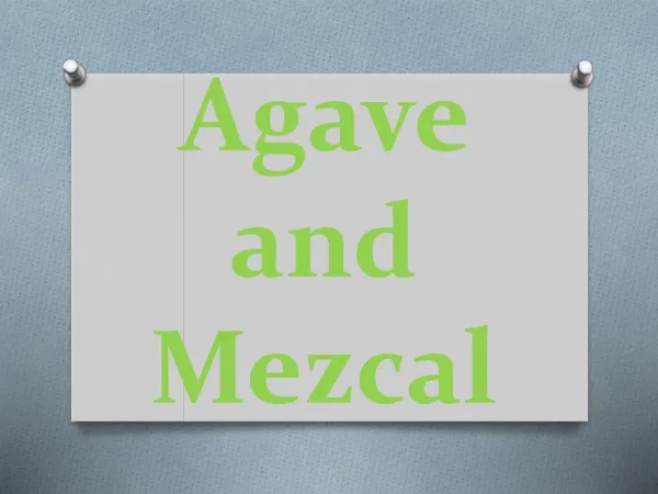 Agave and Mezcal