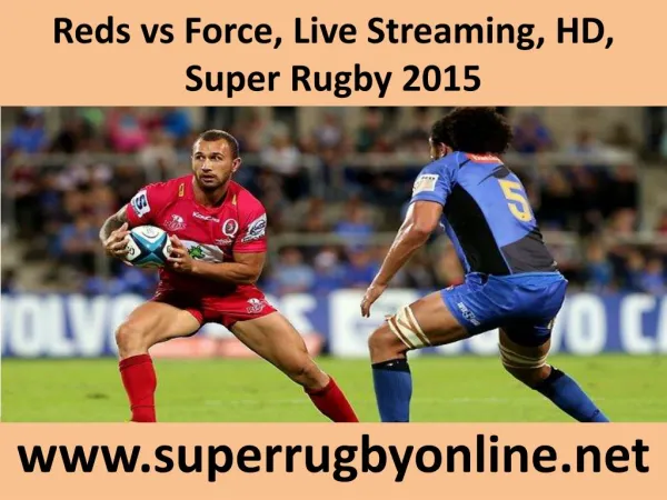 Reds vs Force, Live Streaming, HD, Super Rugby 2015