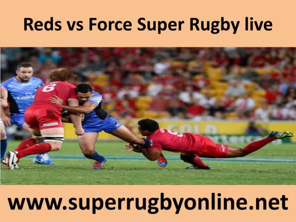 Reds vs Force Super Rugby live