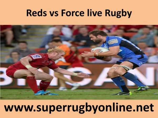 Reds vs Force live Rugby