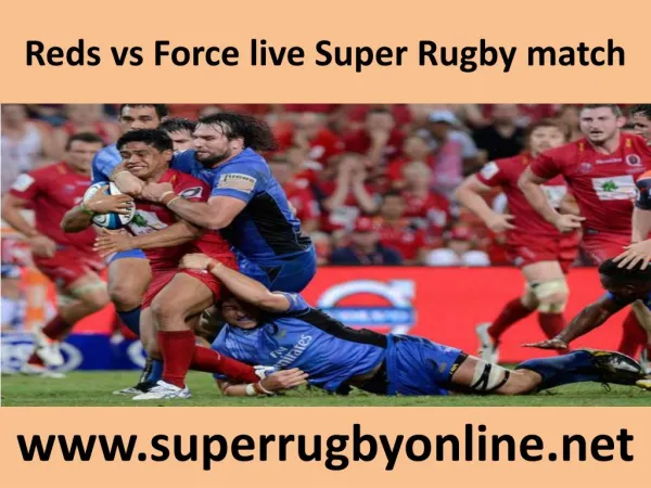 Reds vs Force live Super Rugby match