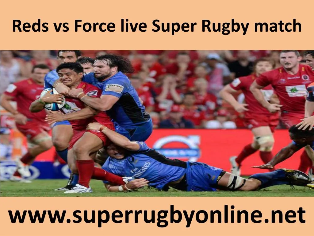 reds vs force live super rugby match