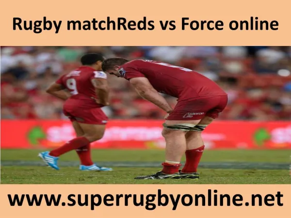 Rugby matchReds vs Force online