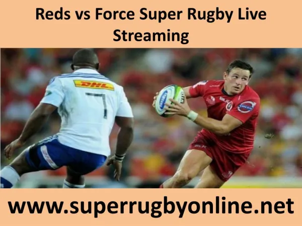 watch ((( Reds vs Force ))) live broadcast
