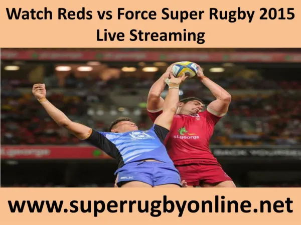 Rugby ((( Reds vs Force ))) live streaming