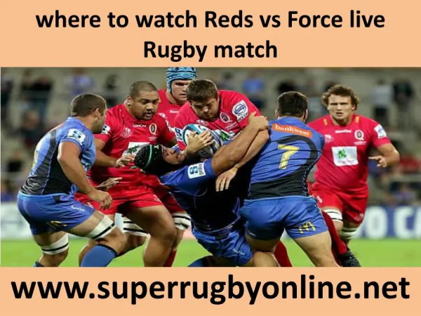 Rugby sports ((( Reds vs Force ))) match live 21 Feb 2015