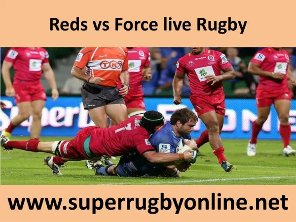 Watch Reds vs Force live Rugby
