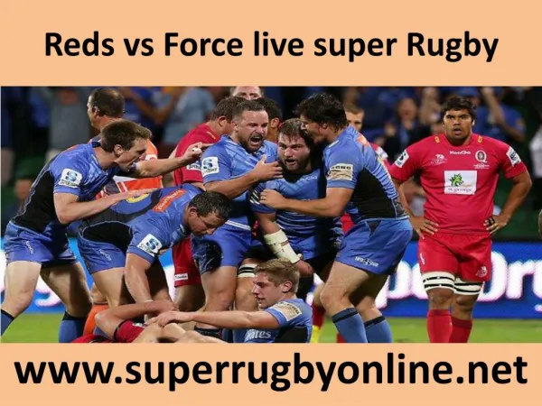 watch Reds vs Force Rugby online