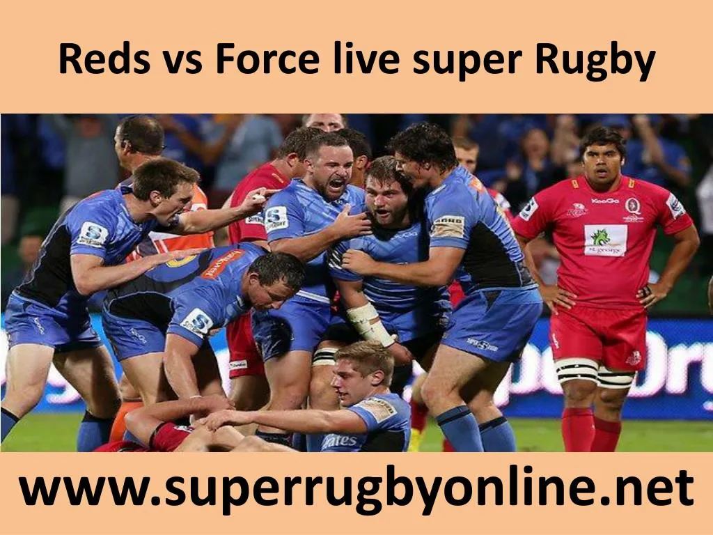 reds vs force live super rugby