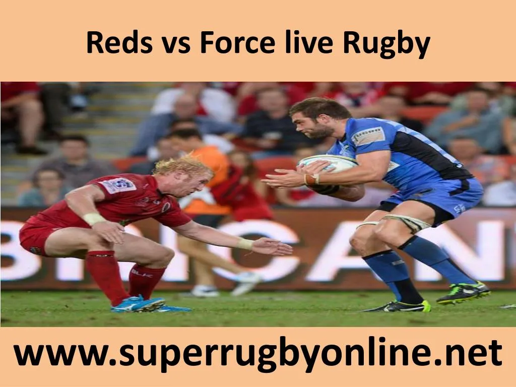 reds vs force live rugby