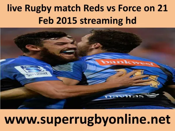 Force vs Reds live Rugby match