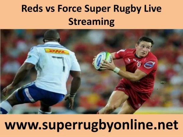 you crazy for watching Force vs Reds online Rugby