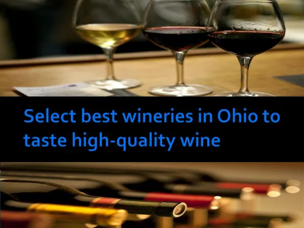 Select best wineries in Ohio to taste high-quality wine
