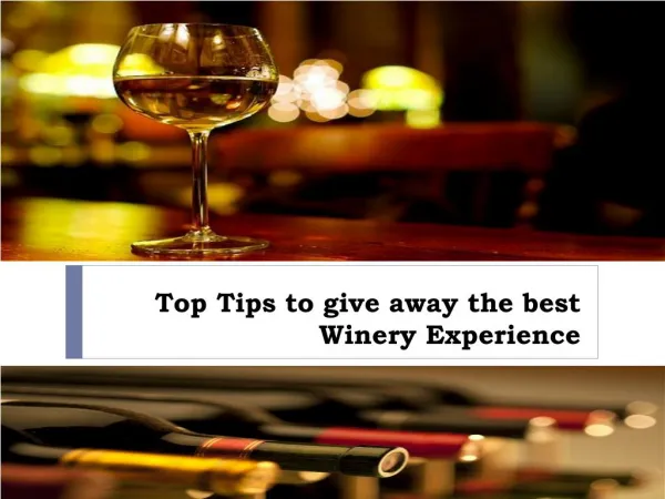 Top Tips to give away the best Winery Experience