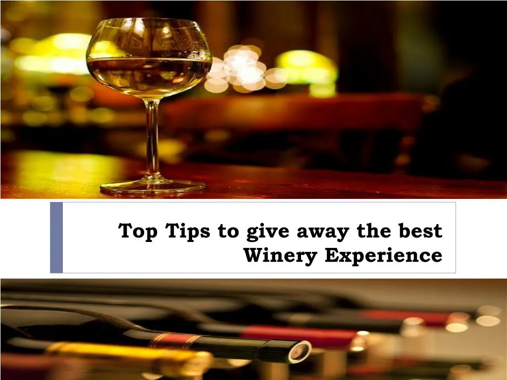 top tips to give away the best winery experience