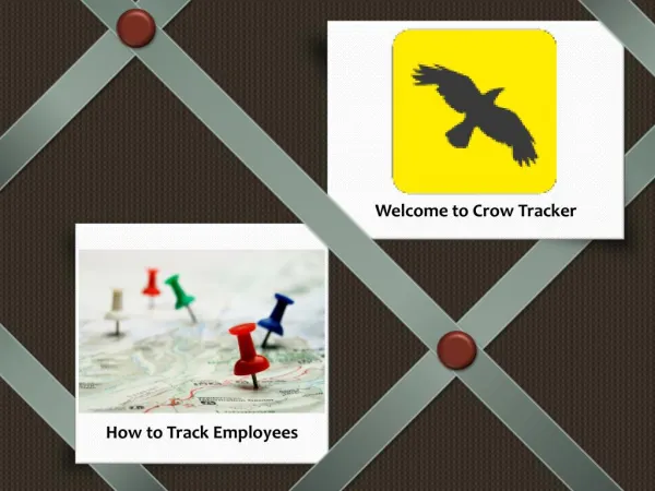 Crow Tracker Presentation