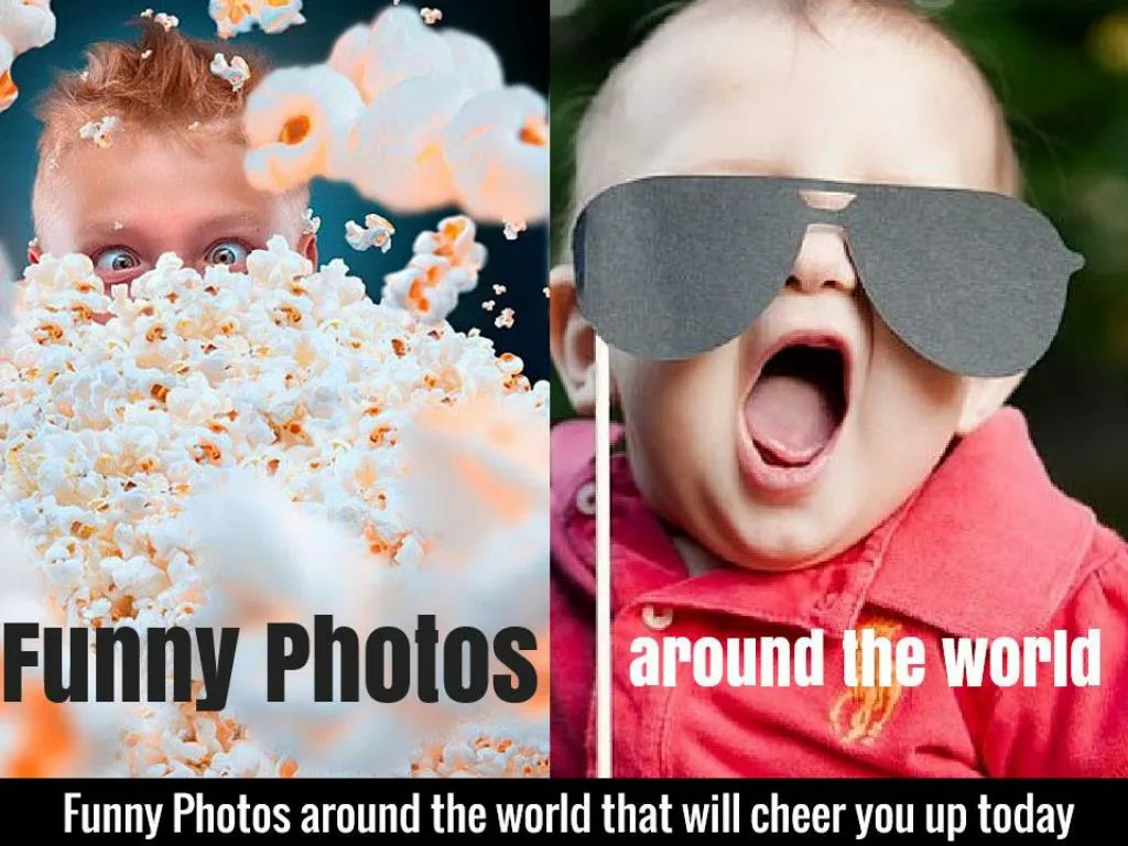 funny photos around the world