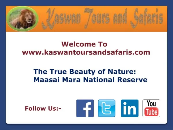 Beauty of Nature Maasai Mara National Reserve