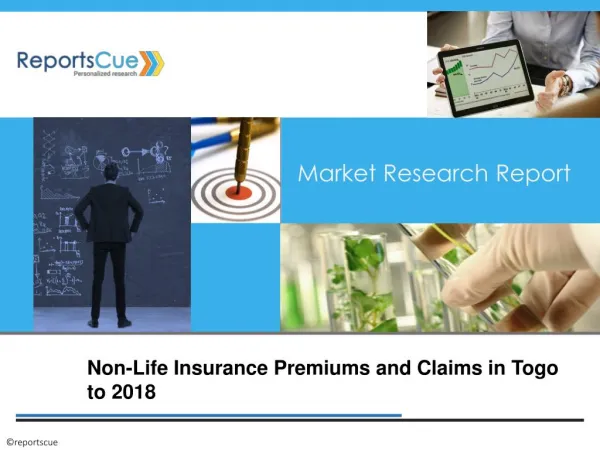 Non-Life Insurance Premiums and Claims in Togo: Industry, An