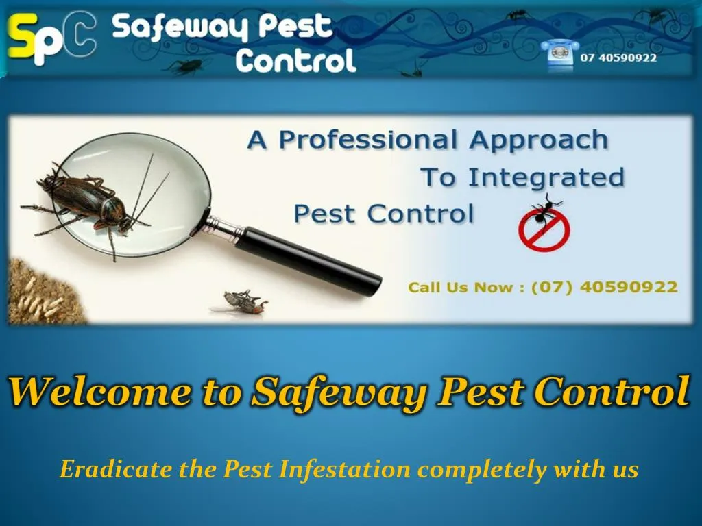 welcome to safeway pest control