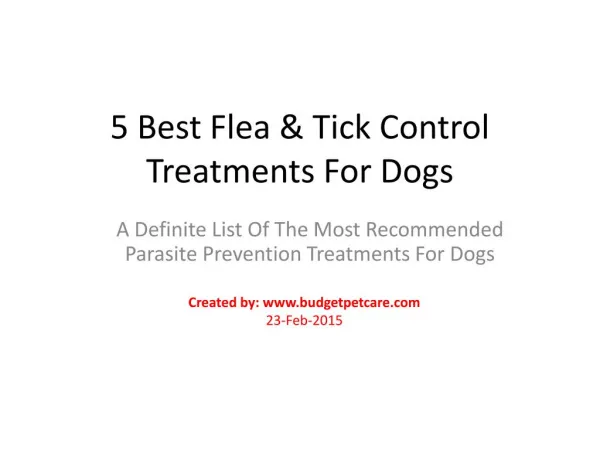 Five Best Flea Tick Treatments For Dogs