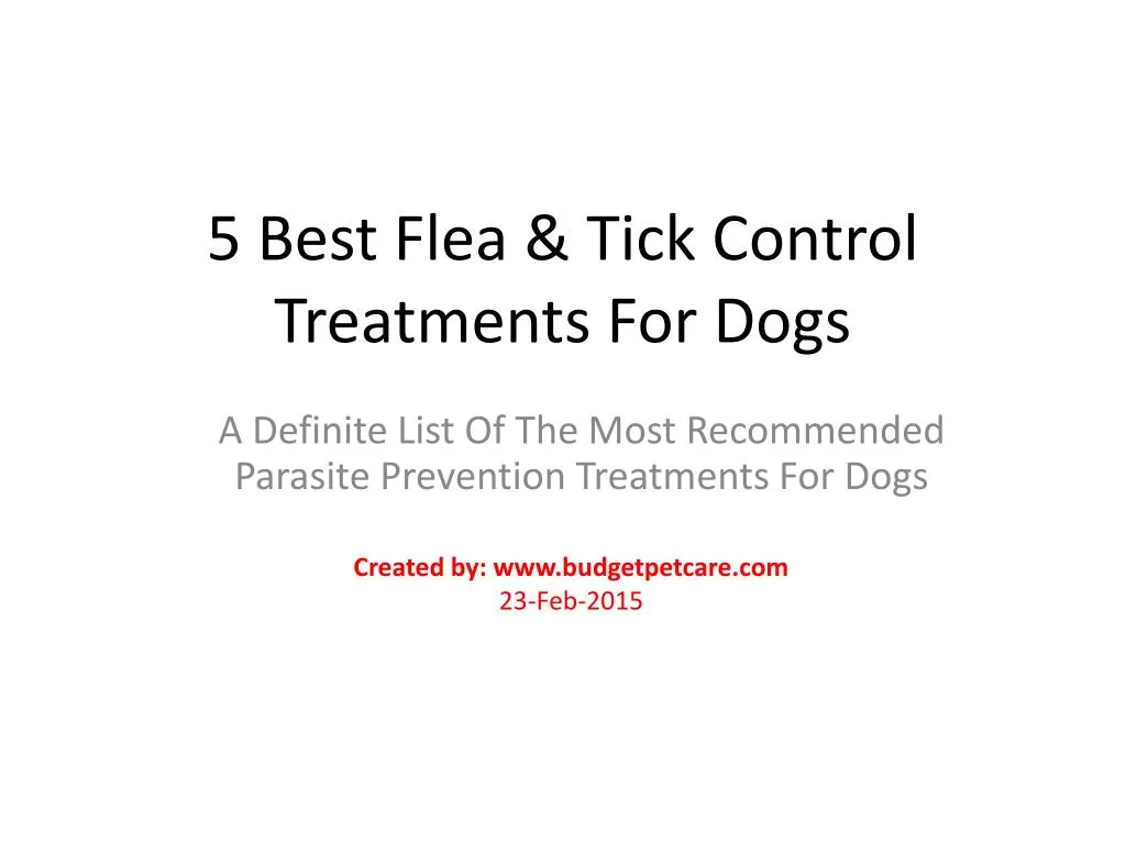5 best flea tick control treatments for dogs
