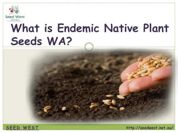 What Is Endemic Native Plant Seeds WA?