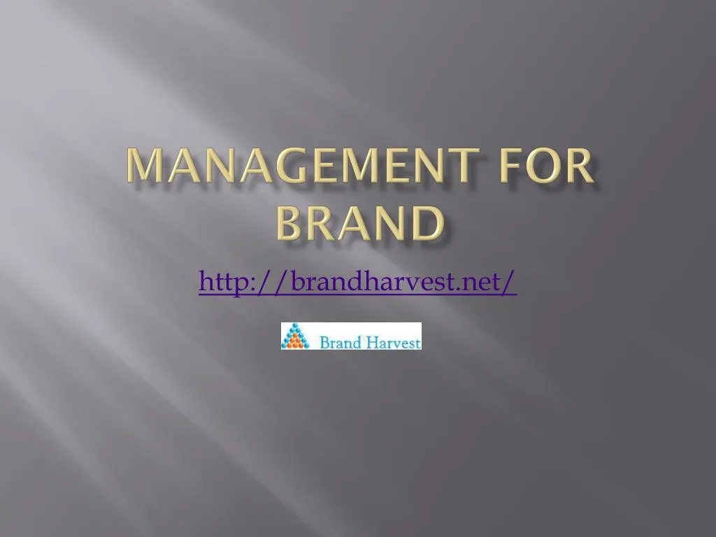 management for b rand