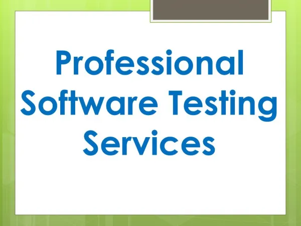 Professional Software Testing Services