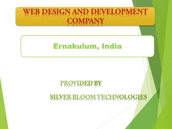 Web design and development company