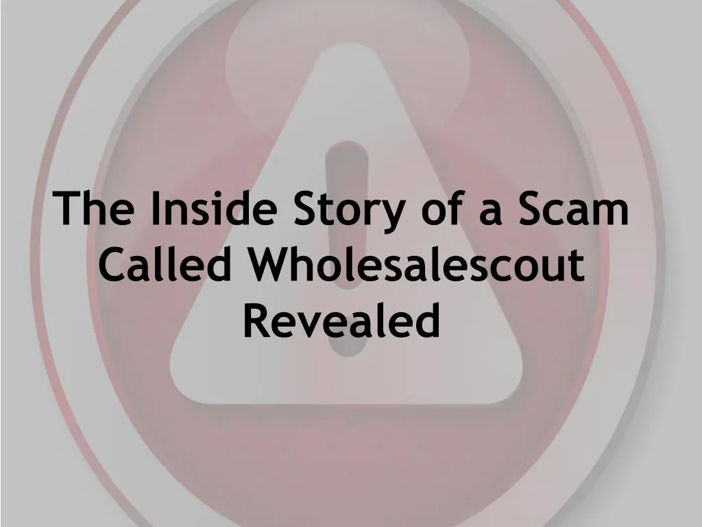 the inside story of a scam called wholesalescout revealed