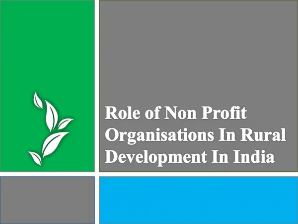 Rural development in India and Non profit organisations