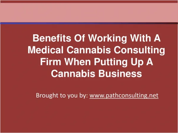 Benefits Of Working With A Medical Cannabis Consulting Firm