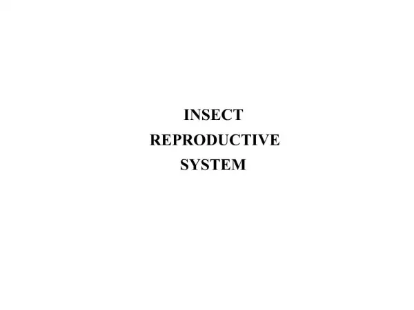 INSECT REPRODUCTIVE SYSTEM