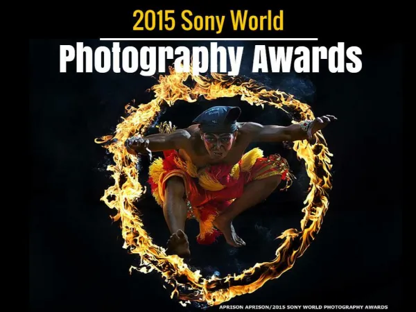 2015 Sony World Photography Awards