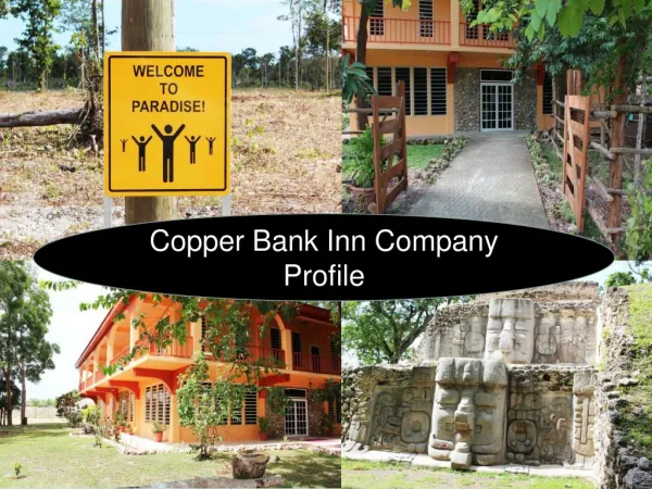 Copper Bank Inn Company Profile
