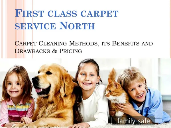 First Class carpet cleaner Seattle