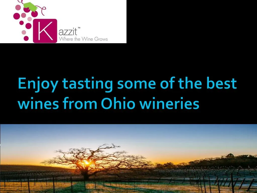 enjoy tasting some of the best wines from ohio wineries