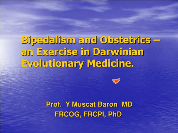 Bipedalism and Obstetrics – an Exercise in Darwinian Evoluti