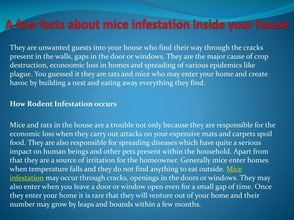 a few facts about mice infestation inside your house
