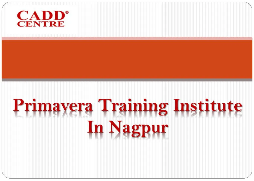 primavera training institute in nagpur