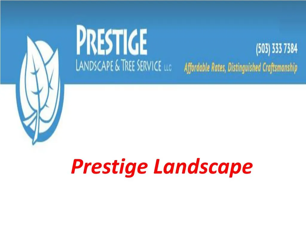 prestige landscape