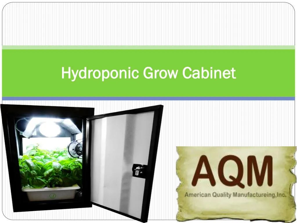 hydroponic grow cabinet