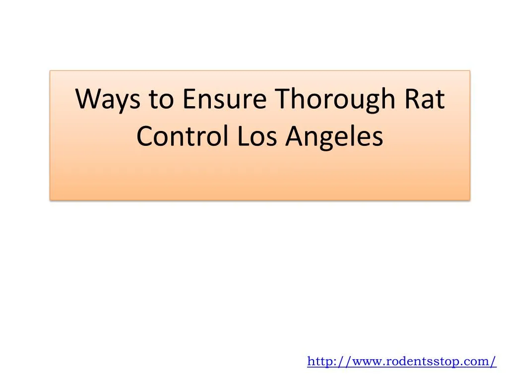 ways to ensure thorough rat control los angeles