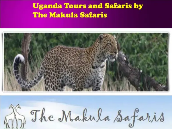 Uganda Tours and Safaris by The Makula Safaris